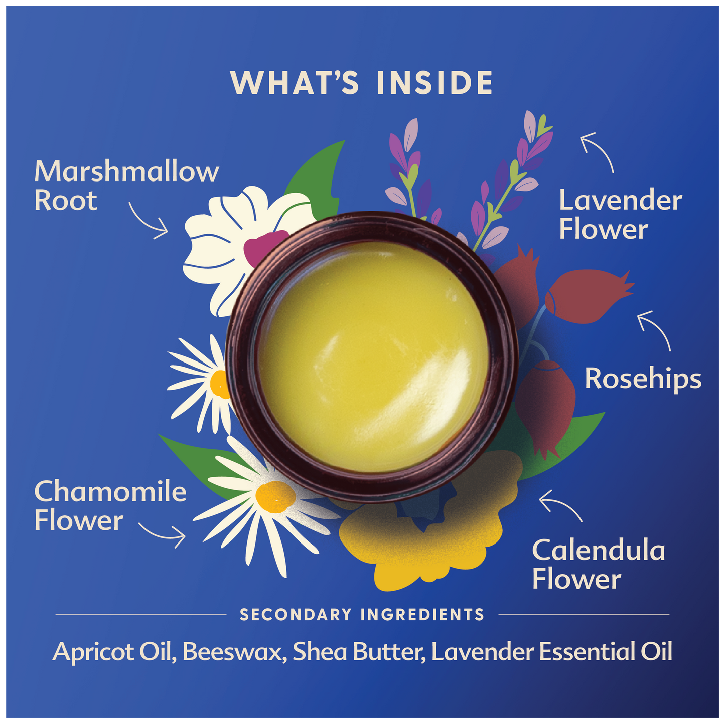 image of whats inside of the jar which is marshmallow root, lavender flower, rosehips, calendula flower, chamomile flower and secondary ingredients such as apricot oil, beeswax, shea butter, lavender essential oil