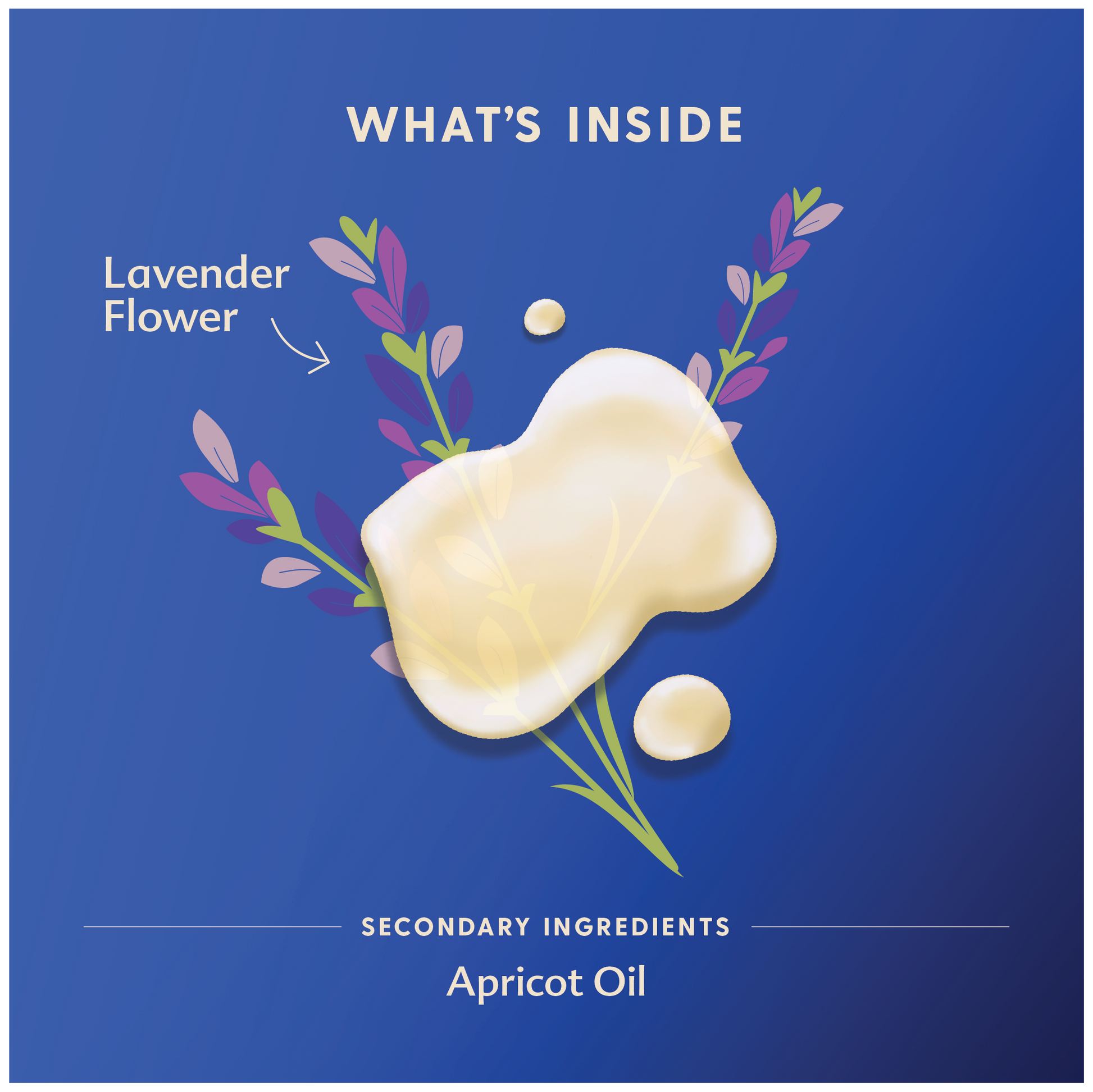 picture of what is inside and shows a image of a lavender flower, and secondary ingredients with is apricot oil